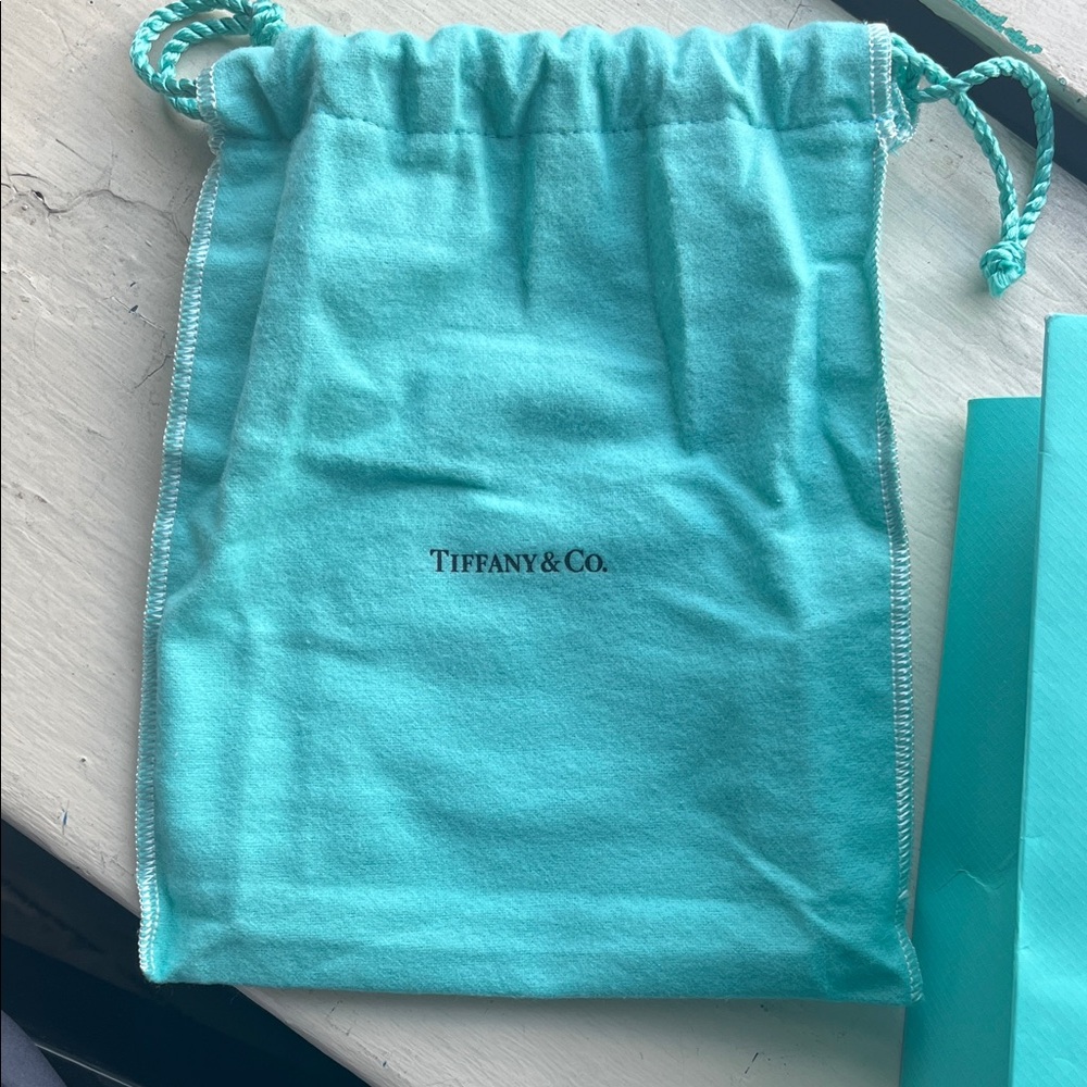 Tiffany & Co. Robin's Egg Blue Shopping Bag with White Handles - Picture 2 of 4